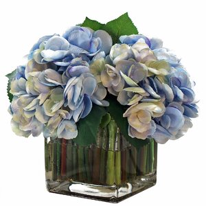 Hydrangea in Acrylic Water Vase