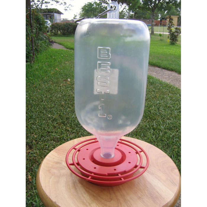 Best 1 Hummingbird Feeder Wayfair