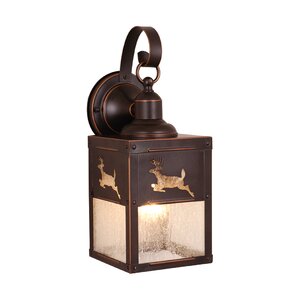 Josefina 1-Light Outdoor Wall Lantern