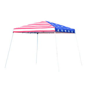 Slant Leg 10 Ft. W x 10 Ft. D Steel Pop-Up Canopy