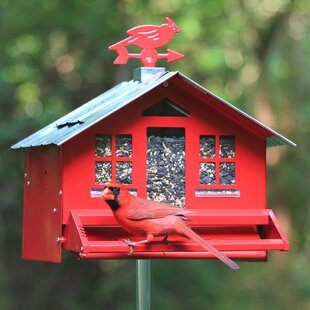 Outside Inside Mesh Woody Decorative Bird Feeder Wayfair