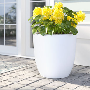 Bankston Fiberglass Pot review