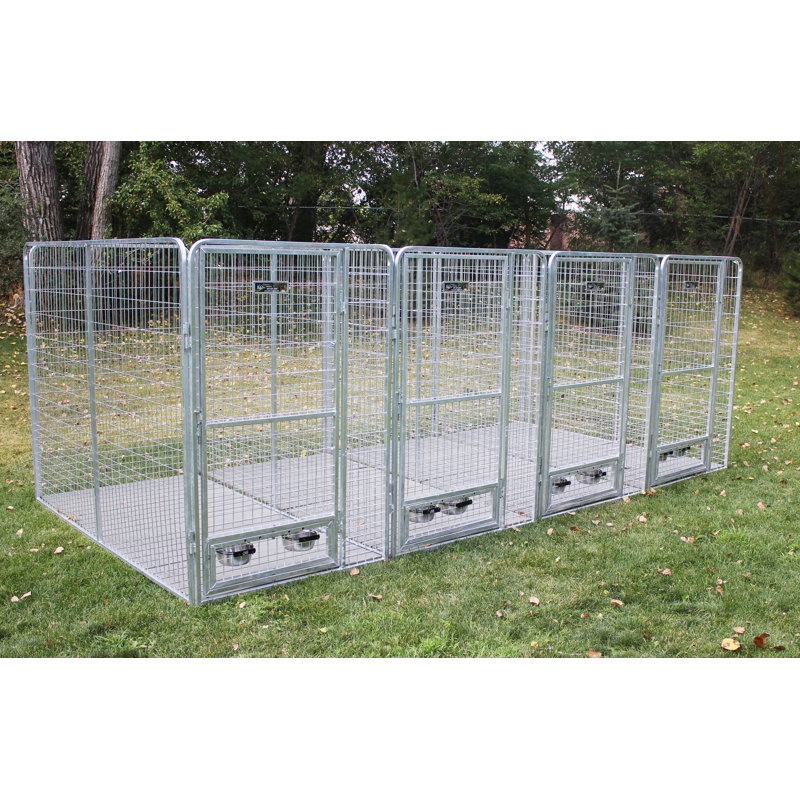 tucker murphy pet avery 5 dog galvanized steel yard kennel wayfair