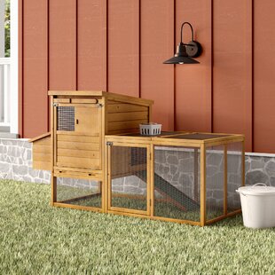 Chicken Coops Youll Love In 2019 Wayfair