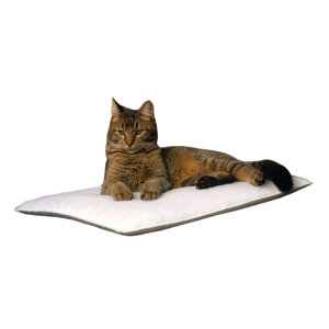 Purr Padd Eco Friendly Cat Bed (Set of 2)