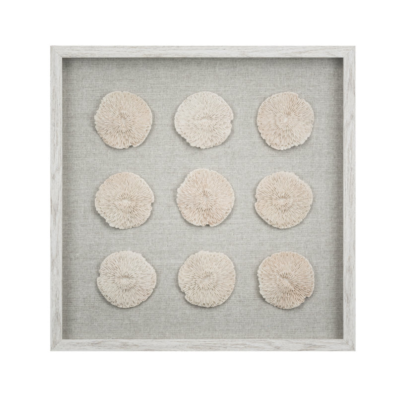 9 Piece Sea Urchin Wall Decor Birch Lane 9 Piece Sea Urchin Wall Decor