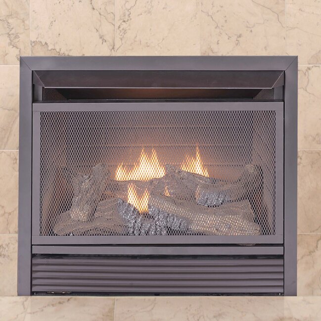 Duluth Forge Dual Fuel Fireplace Insert & Reviews | Wayfair