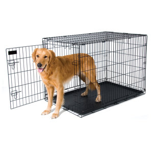 Training Retreat Wire Yard Kennel