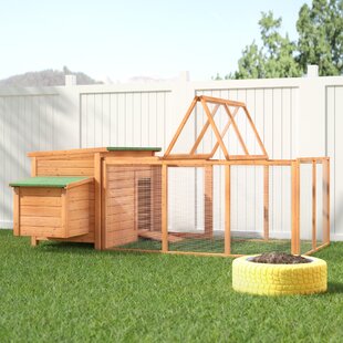 Pigeon Coop Wayfair