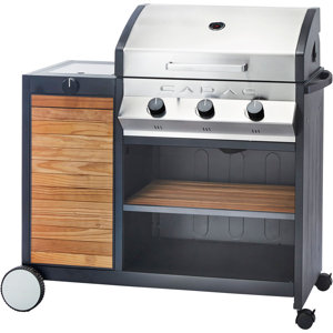 Meridan 3-Burner Propane Gas Grill with Side Burner