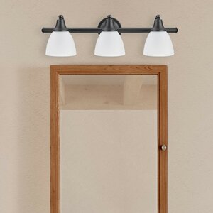 Jayden 3-Light Vanity Light