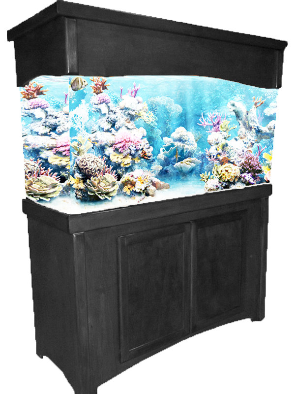 Tucker Murphy Pet Perrin 55 Gallons Aquarium Stand and Canopy Combo