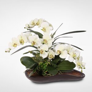 Handmade Phalaenopsis Orchid and Artificial Succulents Floral Arrangement