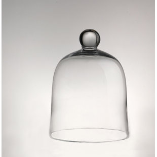 cake cloche wayfair