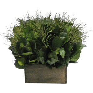Greenery in Stained Wooden Container