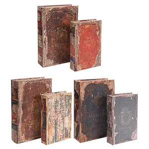 Distressed 6-Piece Book Box Set