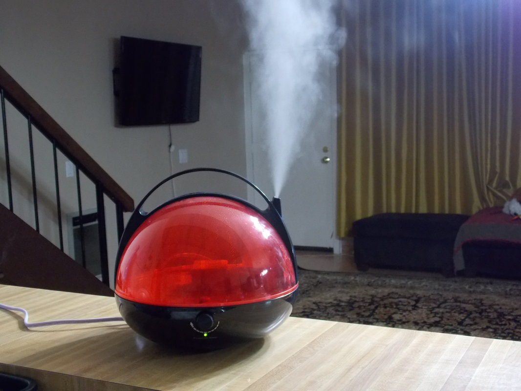 Canary Products 1 Gal. Warm Mist Tabletop Humidifier & Reviews Wayfair