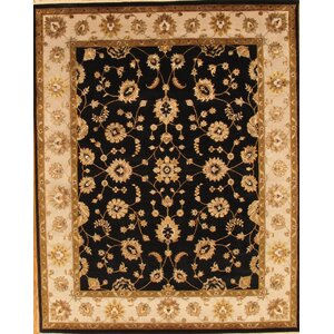 Agra Traditional Hand-Knotted Oriental Area Rug