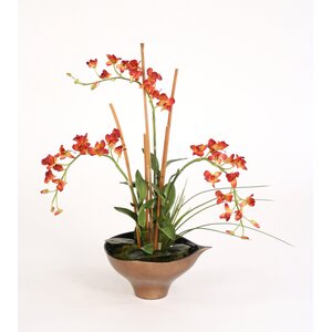 Silk Rust Orchids, Arrorog and Tropical Foliage in Leaf Bowl