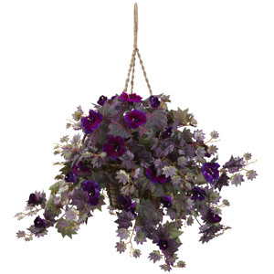 Hanging Morning Glory Floral Arrangement in Basket