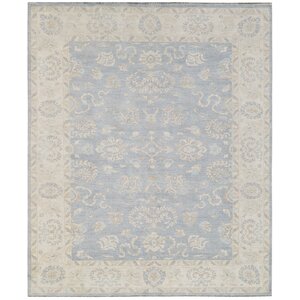 Hand-Knotted Blue/Beige Area Rug