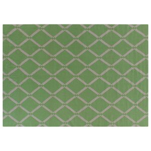 Flat Weave Light Green Area Rug