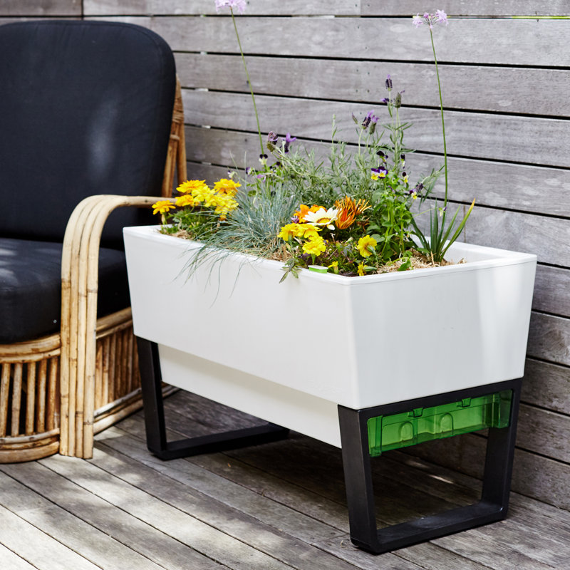 Glowpear SelfWatering Plastic Planter Box &amp; Reviews Wayfair