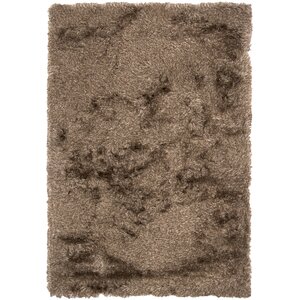 Petrina Black Solid Area Rug