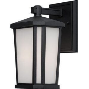 Esters 1-Light Outdoor Wall Lantern
