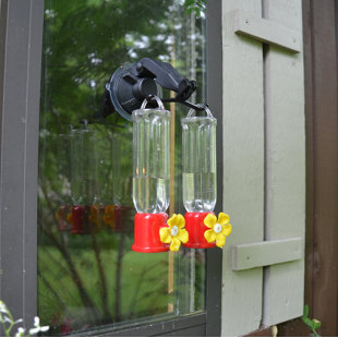 Hummingbird Feeder Hooks Wayfair