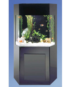 Aqua 50 Gallon Custom Shadow Box Aquarium Kit