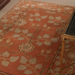 Trinningham Pumpkin Area Rug