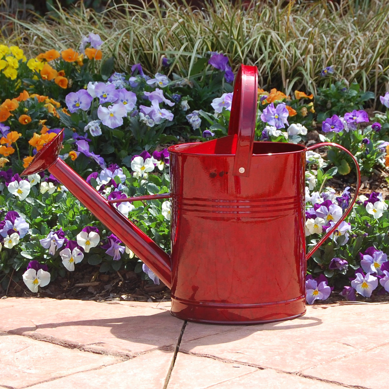 Griffith Creek Designs 1.5 Gallon Metal Watering Can & Reviews Wayfair
