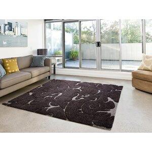 Cincinnatus Brown Area Rug