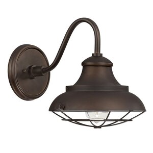 Hallsboro 1-Light Outdoor Barn Light