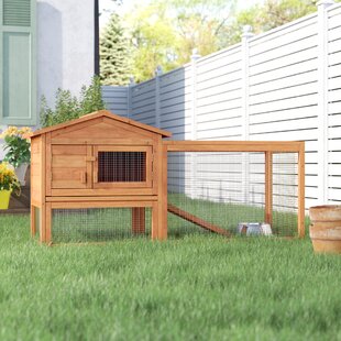 Chicken Coops Youll Love In 2019 Wayfairca