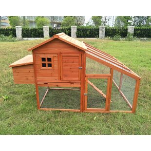 Walk In Chicken Coop Wayfair