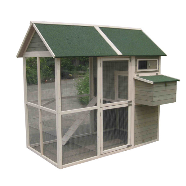 Innovation Pet Coops And Feathers Walk In En Coop Reviews Innovation Pet Coops And Feathers Walk In En Coop Reviews Wayfair