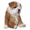 Hi-Line Gift Ltd. Sitting Sleepy Bulldog Puppy Statue & Reviews | Wayfair