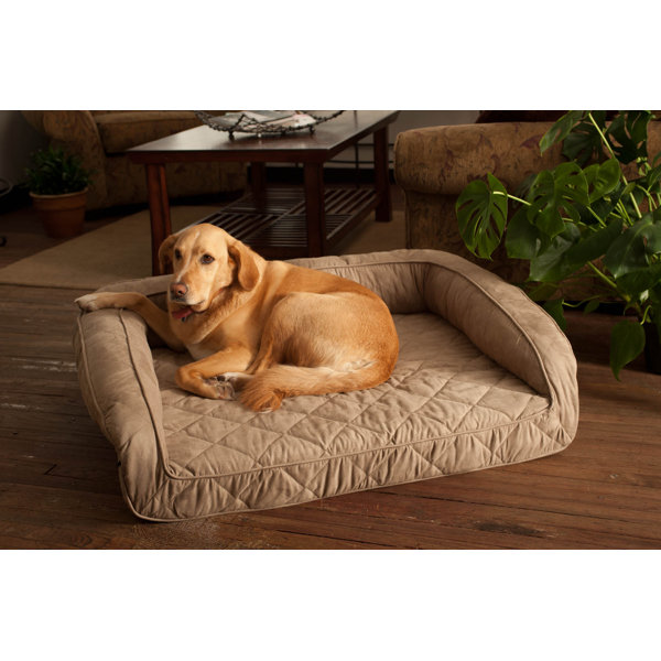 Buddy Beds Luxury Memory Foam Sofa Dog Bed & Reviews Wayfair