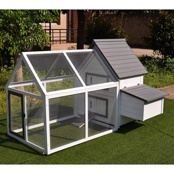 Tucker Murphy Pet Camas Wood Chicken Coophouse With Nesting Box
