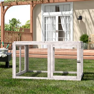 Medium Chicken Coops Youll Love In 2019 Wayfair