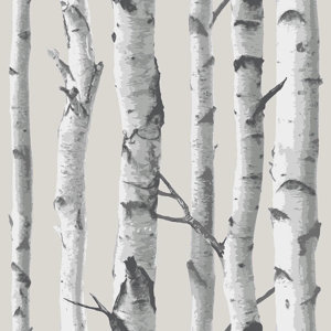 Birch Tree 18' x 20.5