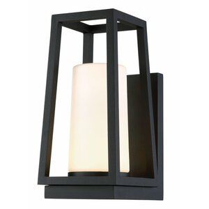 Hurricane 1 Light LED Outdoor Sconce