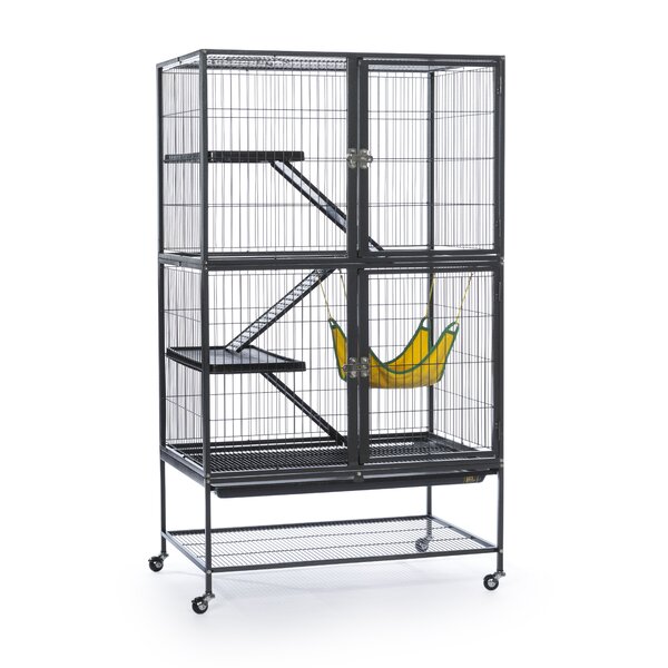 Prevue Hendryx Feisty Ferret Cage & Reviews | Wayfair