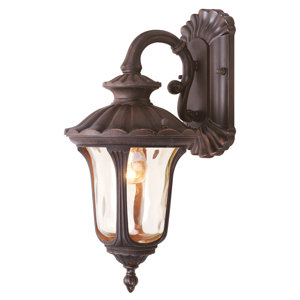 Gurnee Iced Cased Glass 1-Light Outdoor Wall Lantern