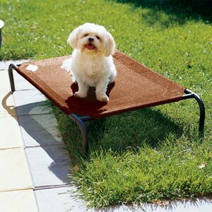 Elevated Indoor/Outdoor Pet Cot for Small Breeds