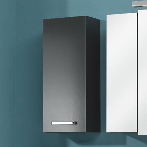 30 x 70 cm Wandschrank Mainz von Pelipal