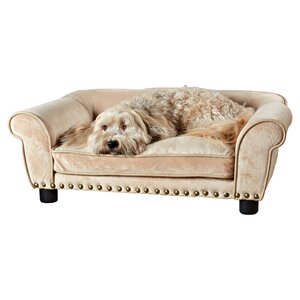 Dreamcatcher Dog Sofa