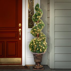 Pre-Lit Juniper Spiral Topiary in Urn